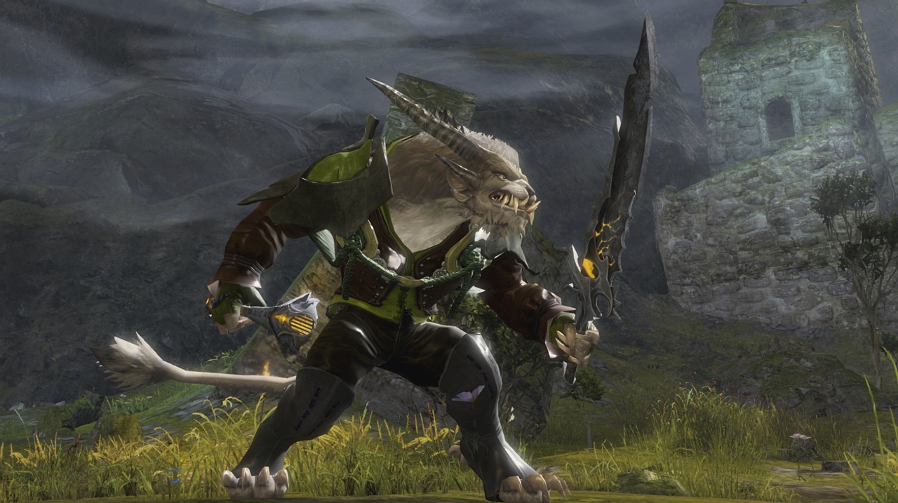 Скриншот из игры Guild Wars 2 - 213