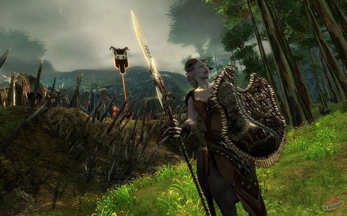 Скриншот из игры Guild Wars 2 - 257