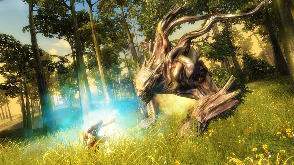 Скриншот из игры Guild Wars 2 - 160