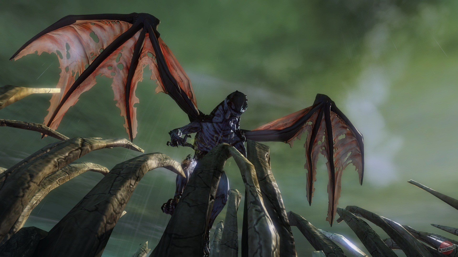 Скриншот из игры Guild Wars 2 - 248