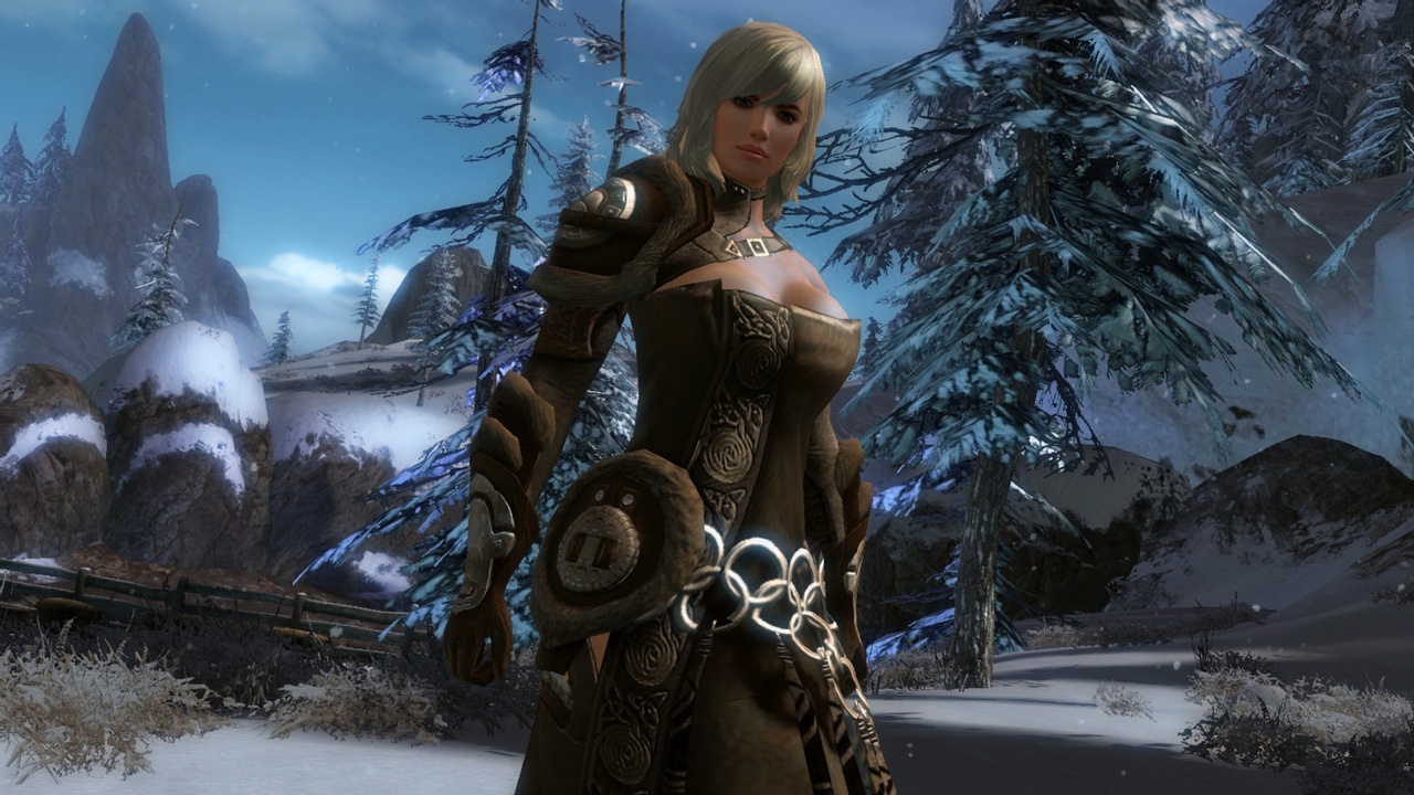 Скриншот из игры Guild Wars 2 - 209