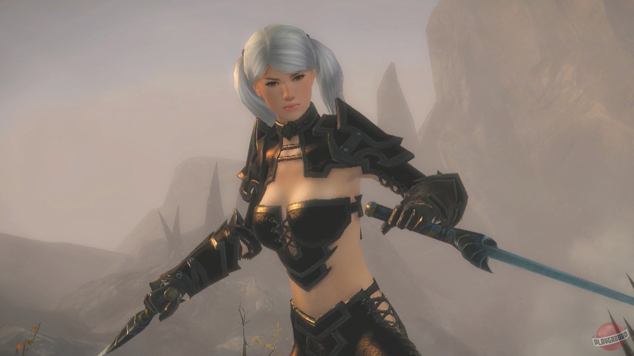 Скриншот из игры Guild Wars 2 - 229