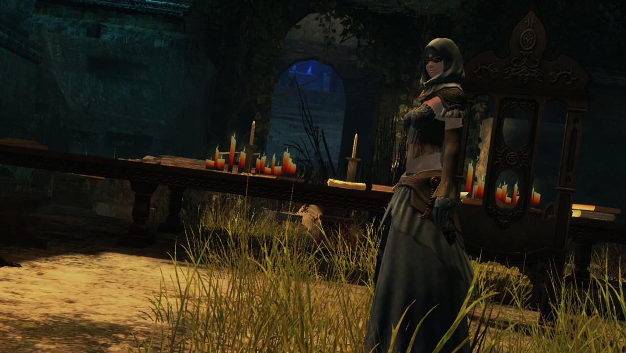 Скриншот из игры Guild Wars 2 - 325