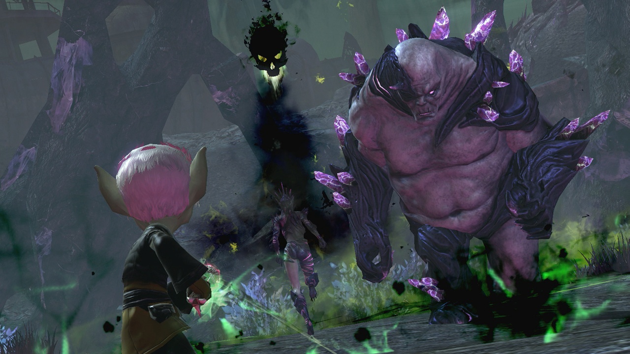 Скриншот из игры Guild Wars 2 - 334