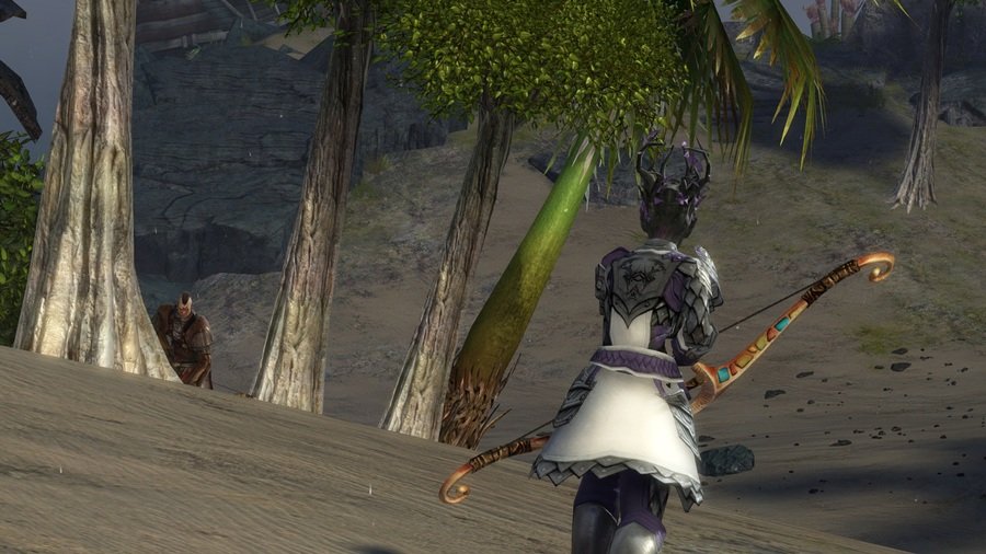 Скриншот из игры Guild Wars 2 - 15