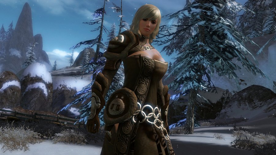 Скриншот из игры Guild Wars 2 - 136