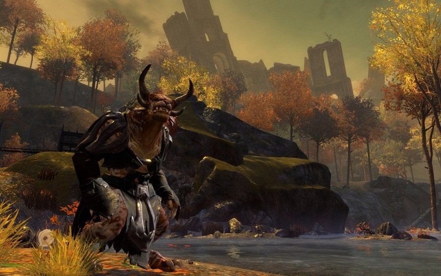 Скриншот из игры Guild Wars 2 - 50