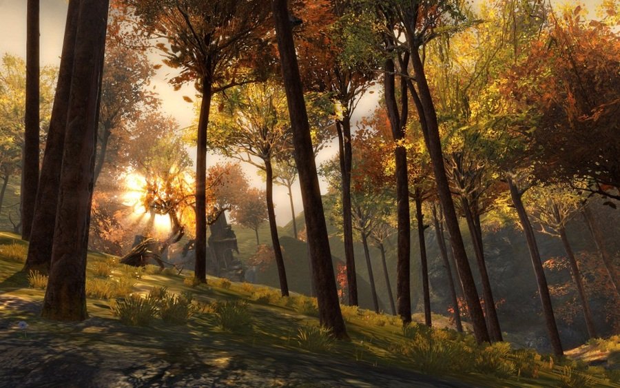 Скриншот из игры Guild Wars 2 - 56