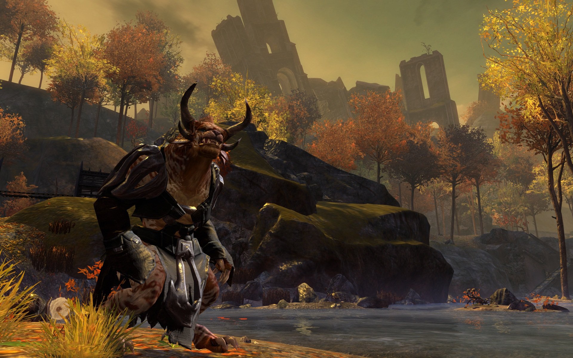 Скриншот из игры Guild Wars 2 - 77