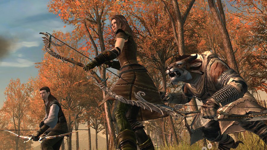Скриншот из игры Guild Wars 2 - 85