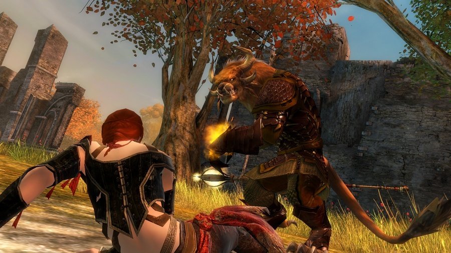 Скриншот из игры Guild Wars 2 - 90