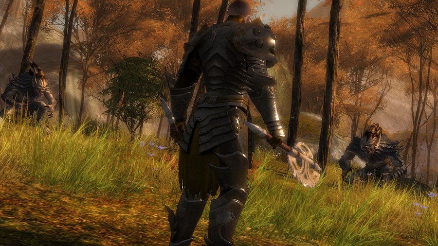 Скриншот из игры Guild Wars 2 - 94