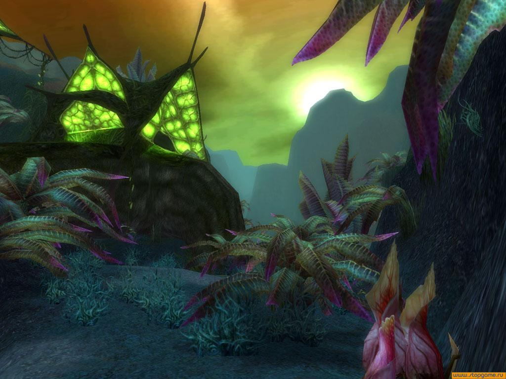 Скриншот из игры Guild Wars - 71