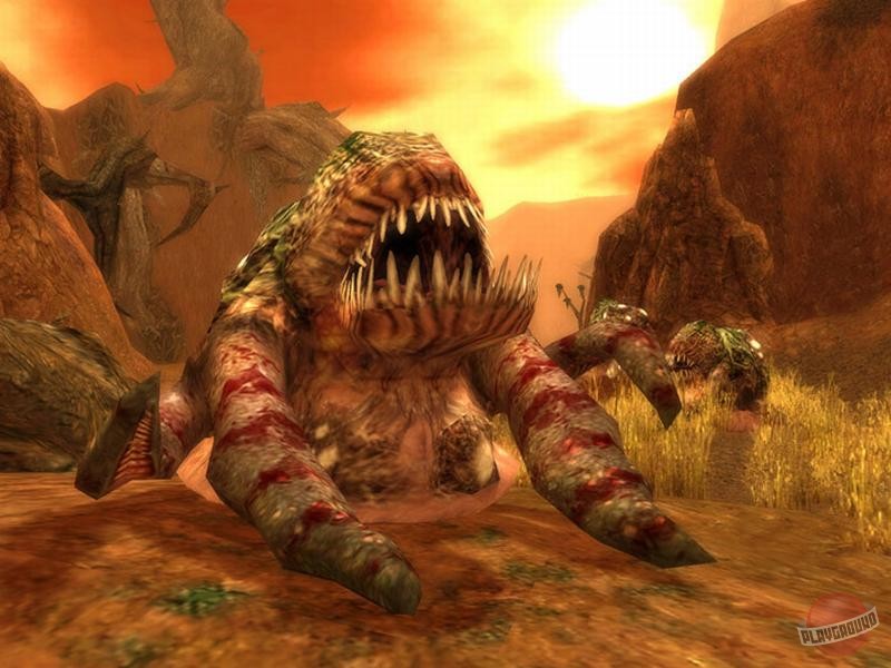 Скриншот из игры Guild Wars - 128