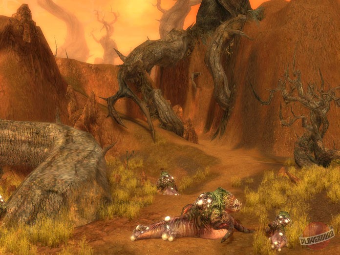 Скриншот из игры Guild Wars - 19