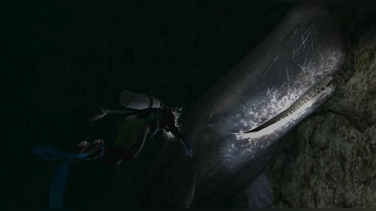 Скриншот из игры Endless Ocean - 4