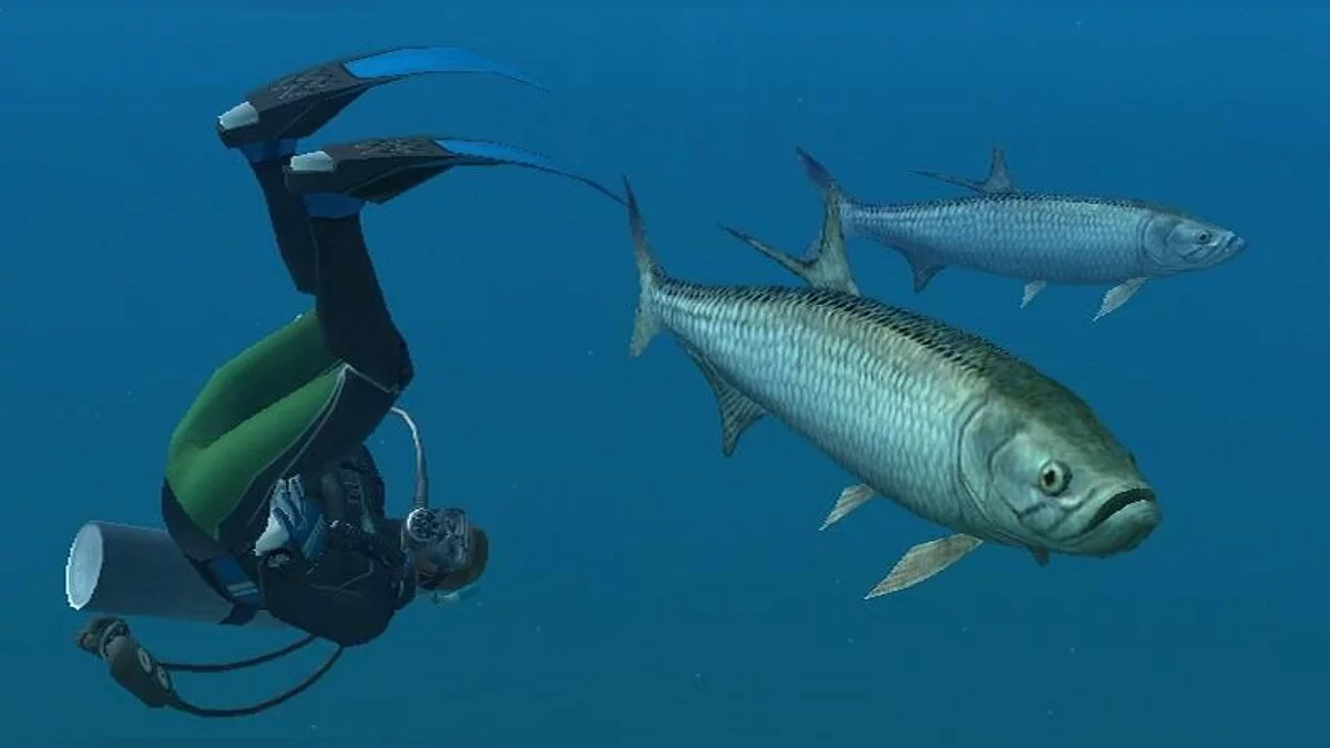 Скриншот из игры Endless Ocean - 1