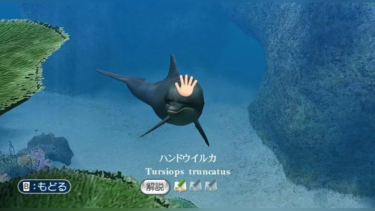 Скриншот из игры Endless Ocean - 10