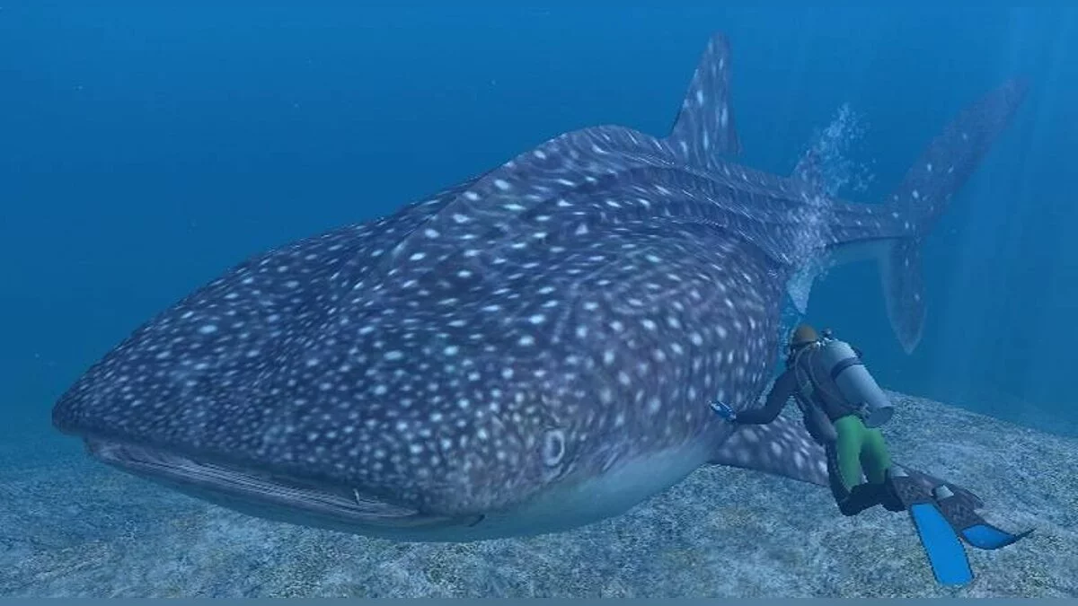 Скриншот из игры Endless Ocean - 6