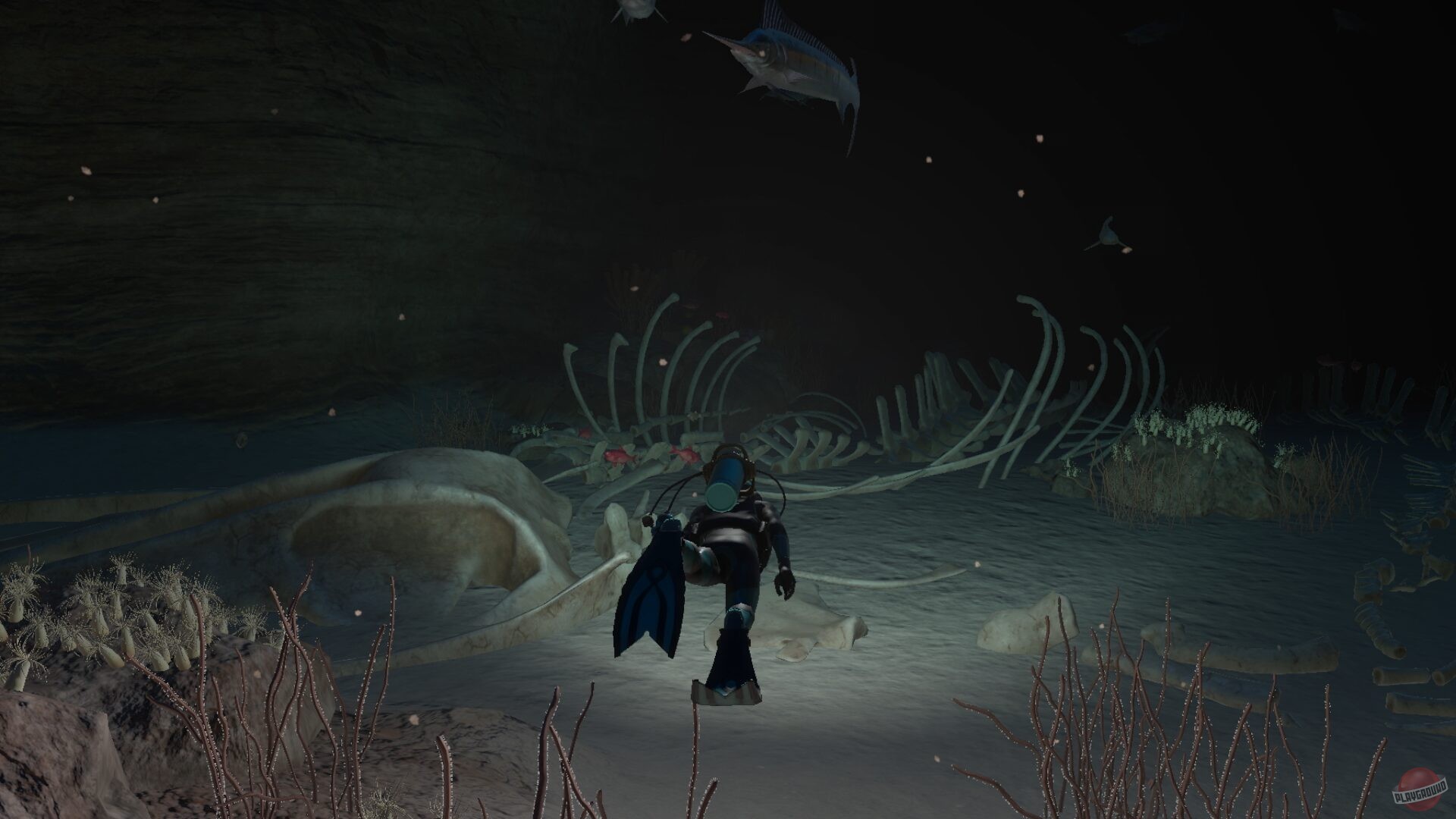 Скриншот из игры Endless Ocean Luminous - 2