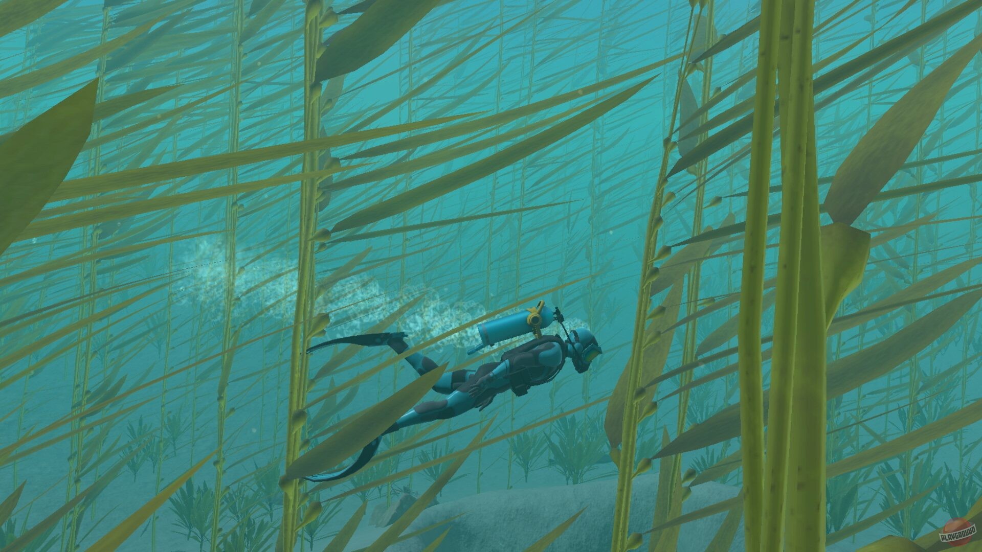 Скриншот из игры Endless Ocean Luminous - 5