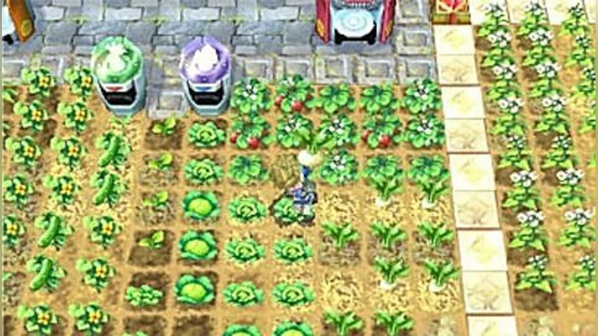 Скриншот из игры Innocent Life: A Futuristic Harvest Moon - 1