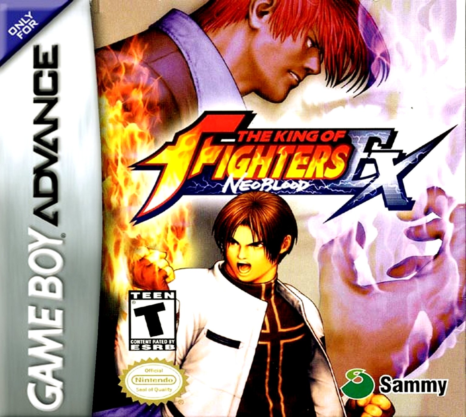 Обложка игры King of Fighters EX: Neo Blood