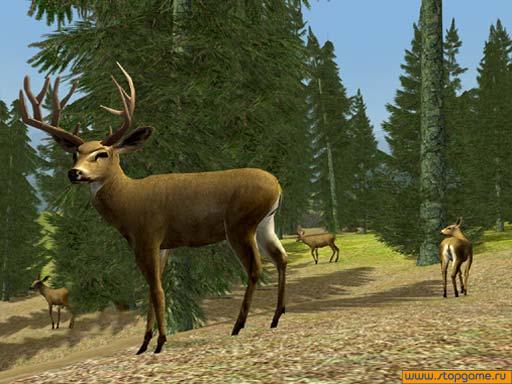 Скриншот из игры Hunting Unlimited 3 - 3