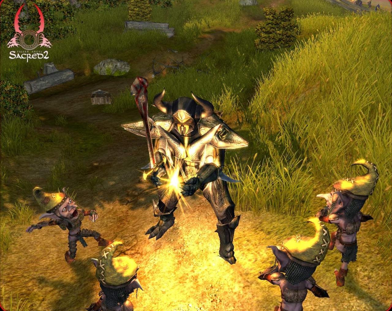 Скриншот из игры Sacred 2: Fallen Angel - 29