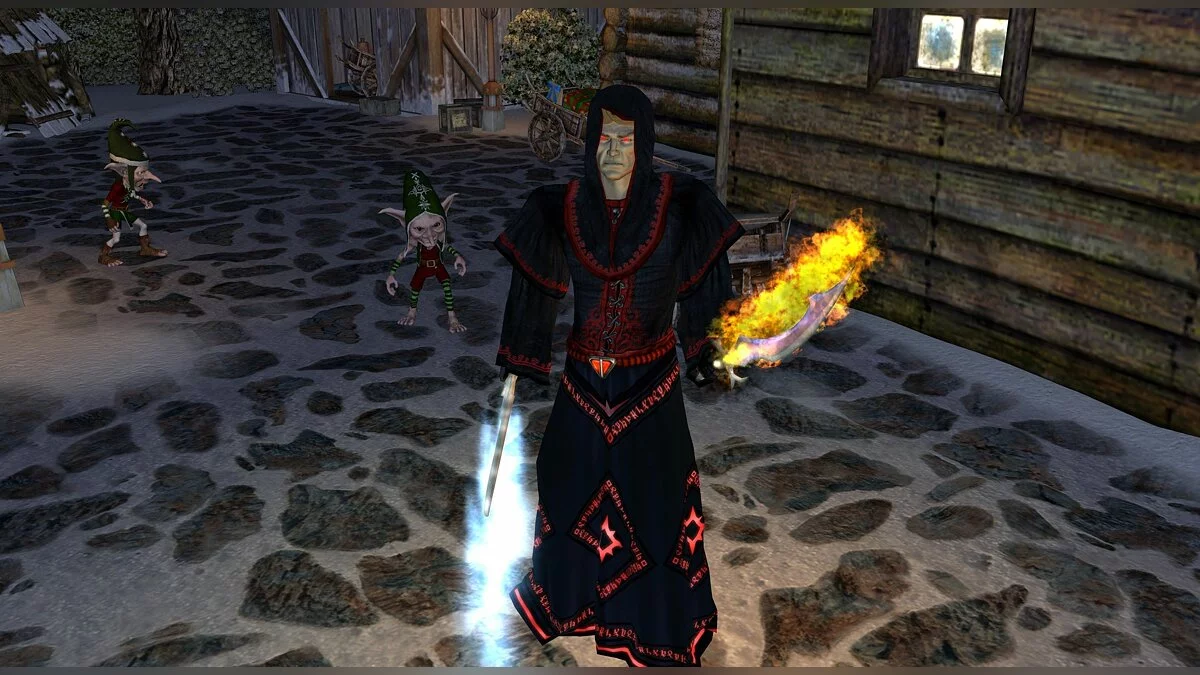Скриншот из игры Sacred 2: Fallen Angel - 21