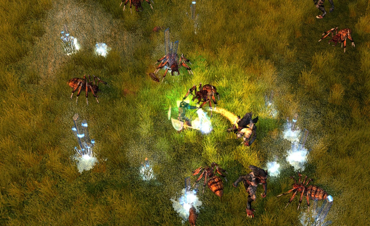 Скриншот из игры Sacred 2: Fallen Angel - 60