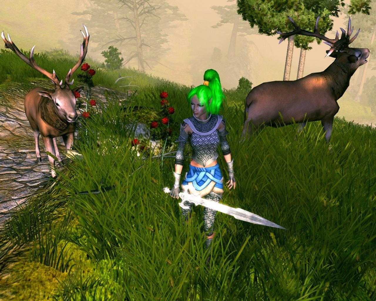 Скриншот из игры Sacred 2: Fallen Angel - 5