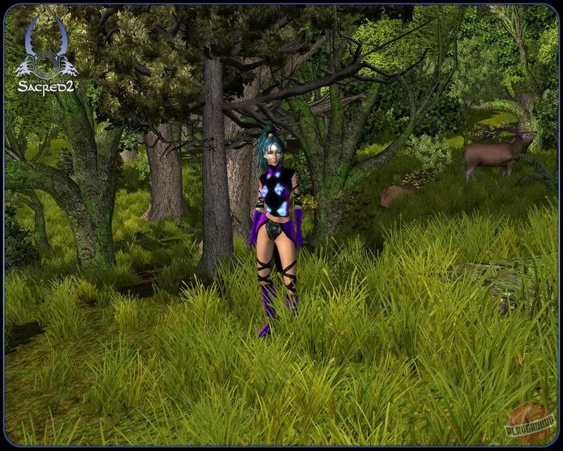 Скриншот из игры Sacred 2: Fallen Angel - 107