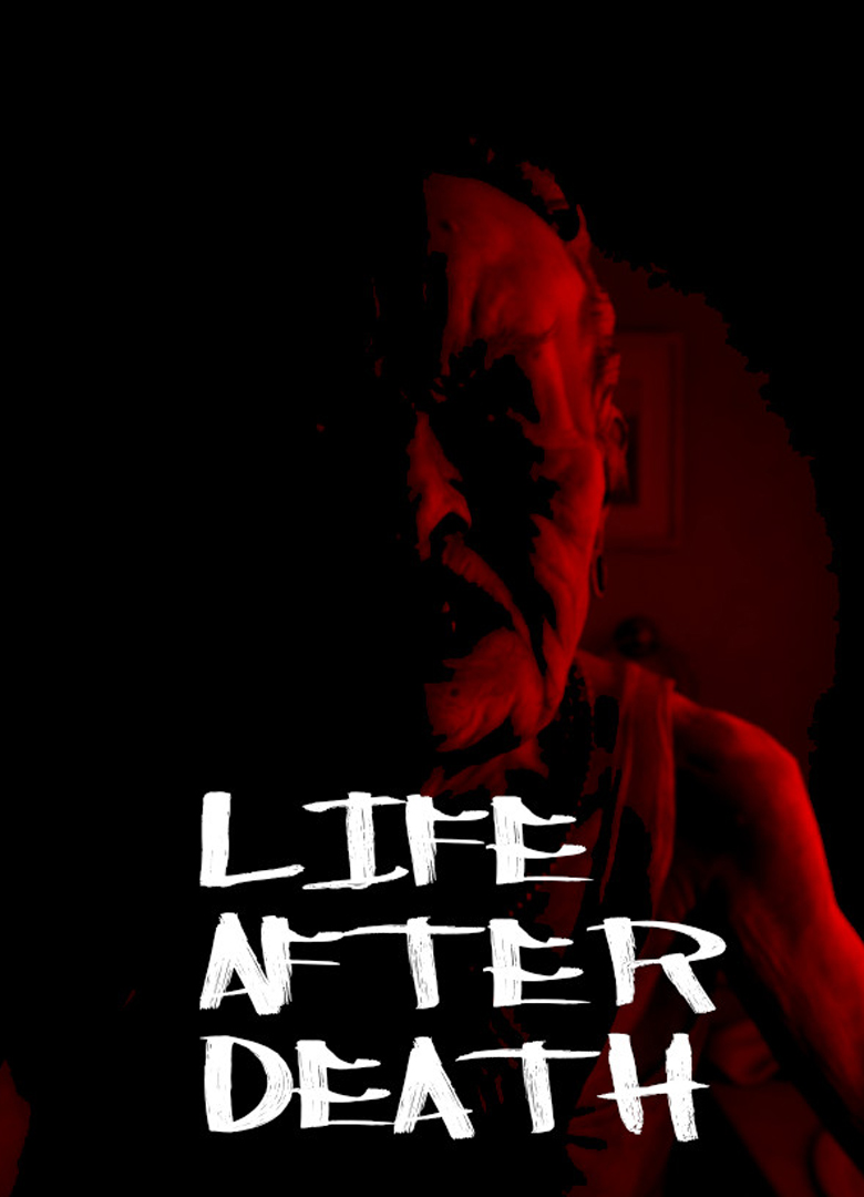 Обложка игры Life after Death