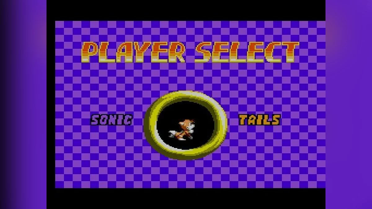 Скриншот из игры Sonic the Hedgehog Chaos - 2