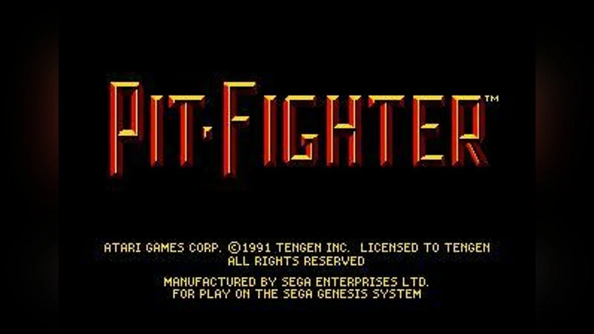 Скриншот из игры Pit Fighter - 3