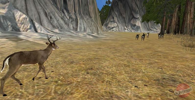 Скриншот из игры Deer Hunter 2003 - 3