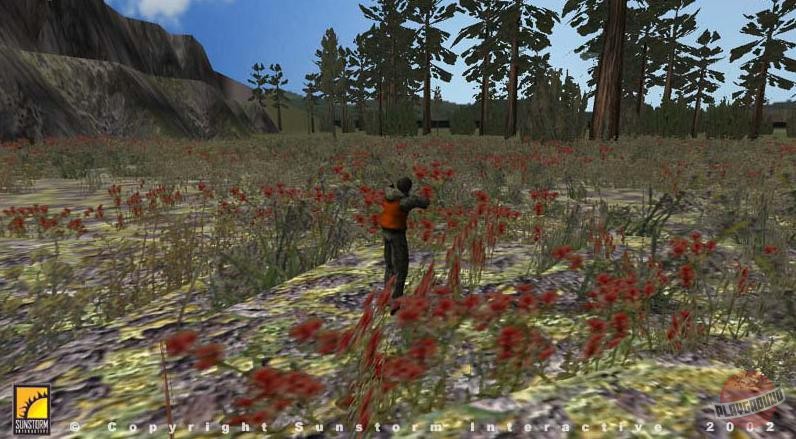 Скриншот из игры Deer Hunter 2003 - 2
