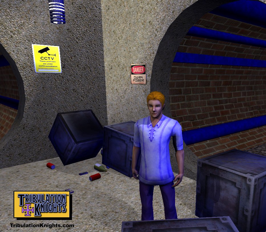 Скриншот из игры Tribulation Knights - 18