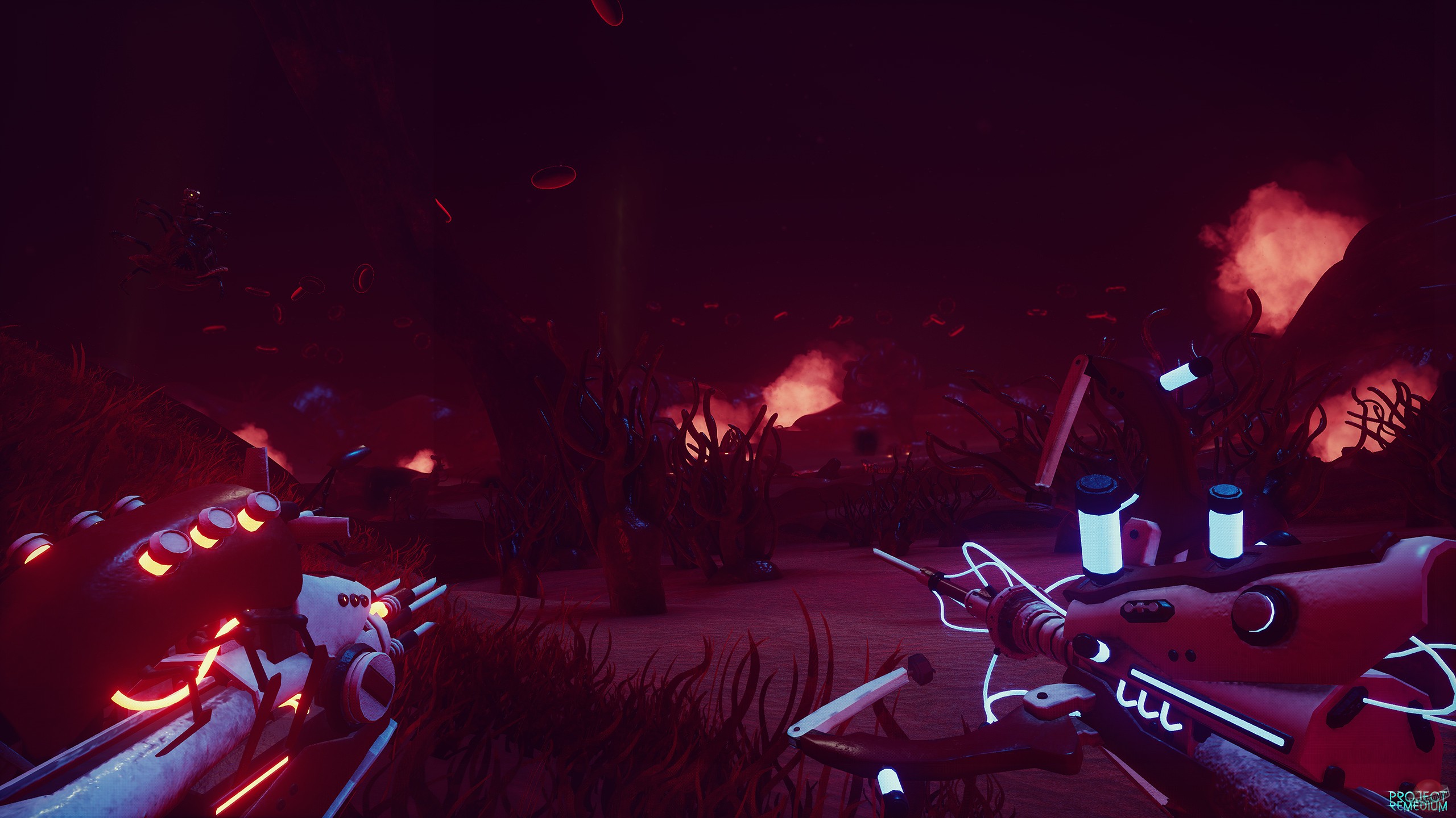 Скриншот из игры Project Remedium - 186