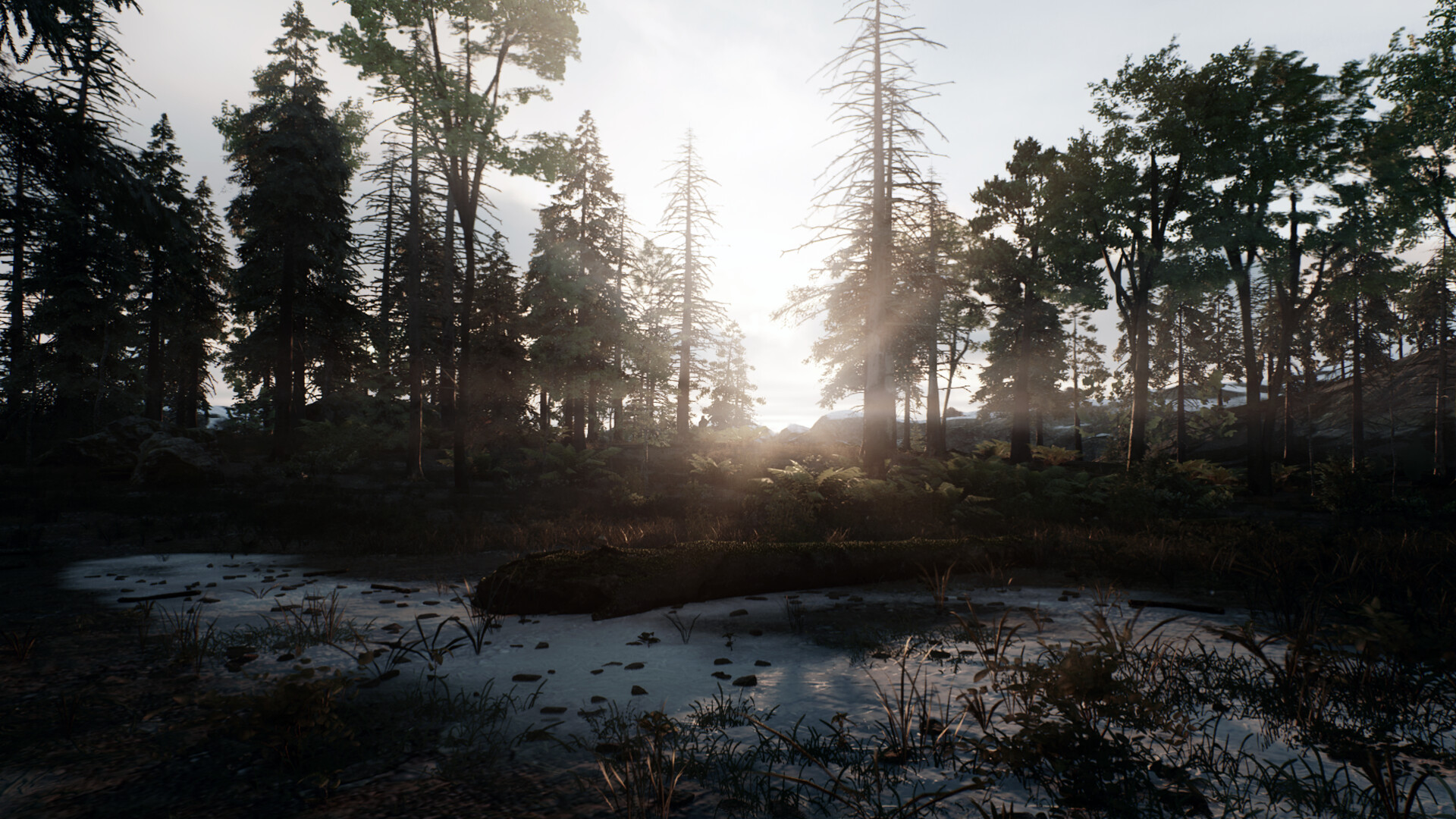 Скриншот из игры Skye: The Misty Isle - 4