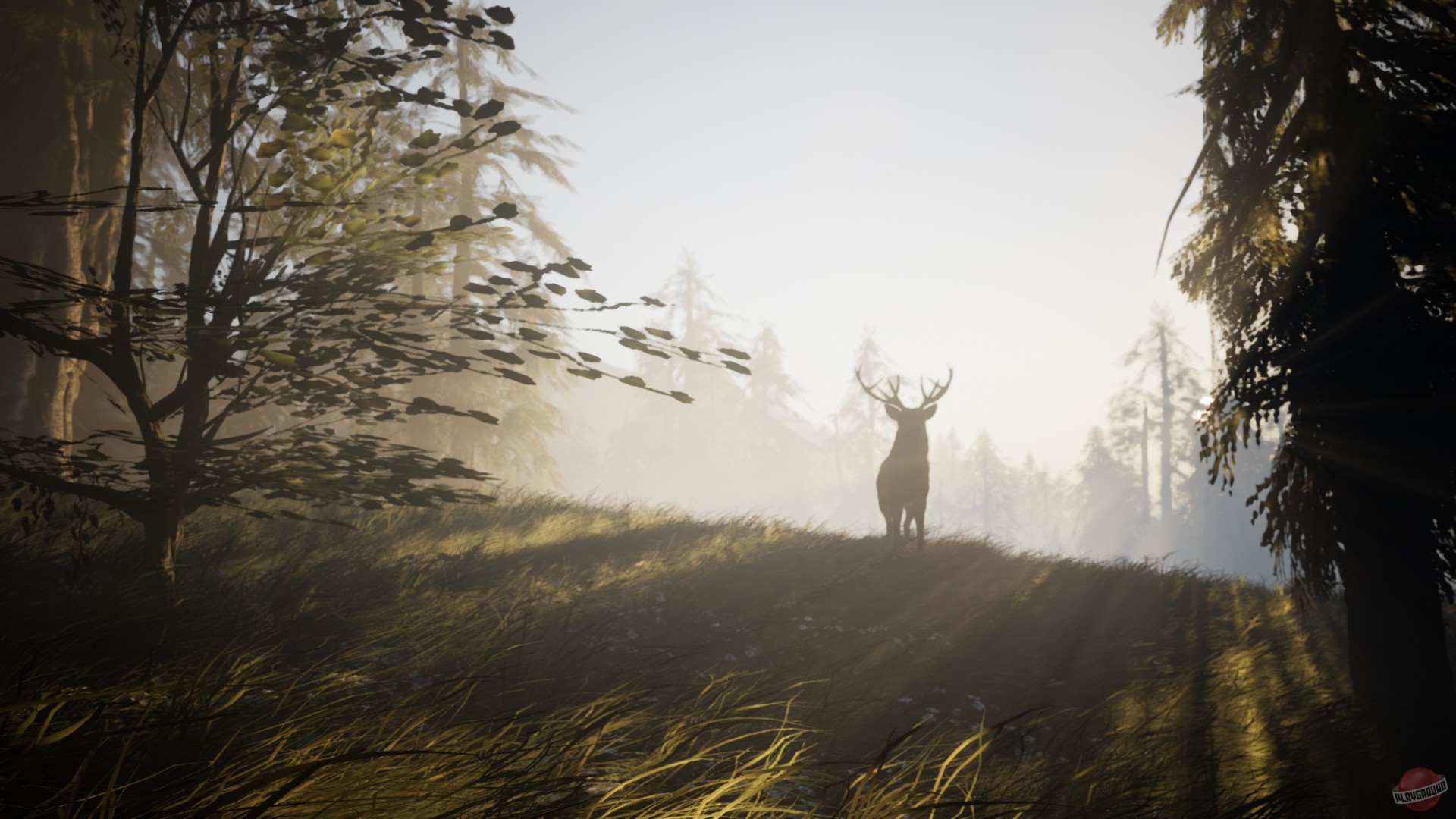 Скриншот из игры Skye: The Misty Isle - 10