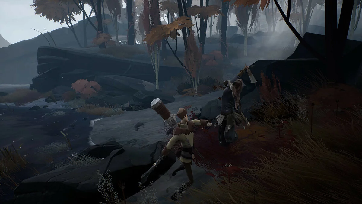 Скриншот из игры Ashen - 27
