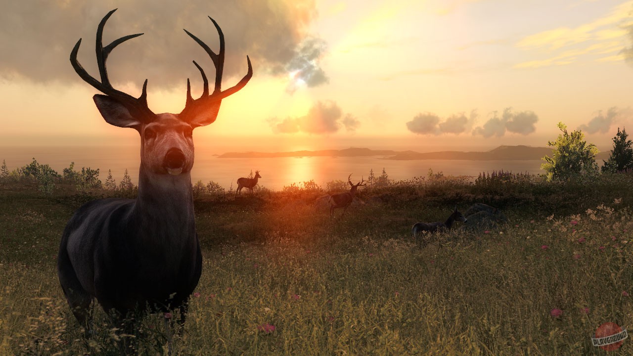 Скриншот из игры theHunter Classic - 4