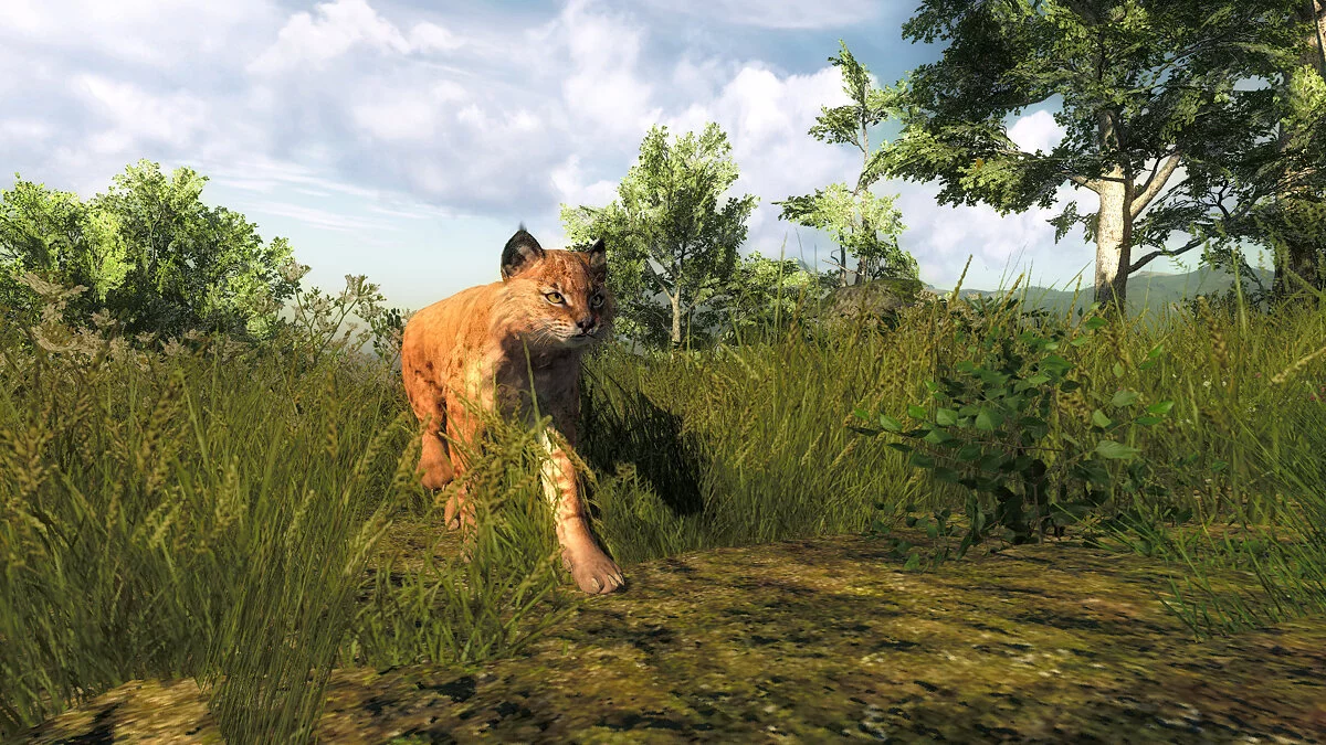 Скриншот из игры theHunter Classic - 6