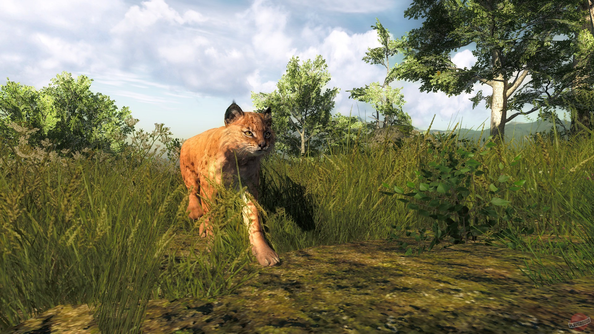 Скриншот из игры theHunter Classic - 13