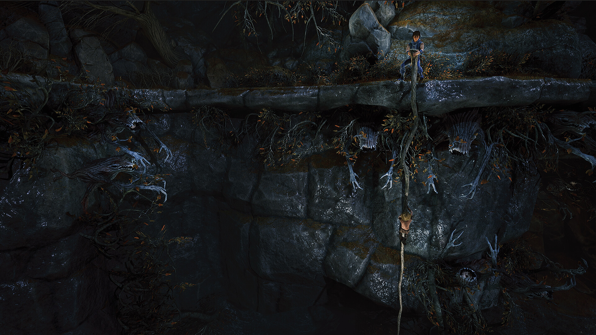Скриншот из игры Brothers: A Tale of Two Sons Remake - 11