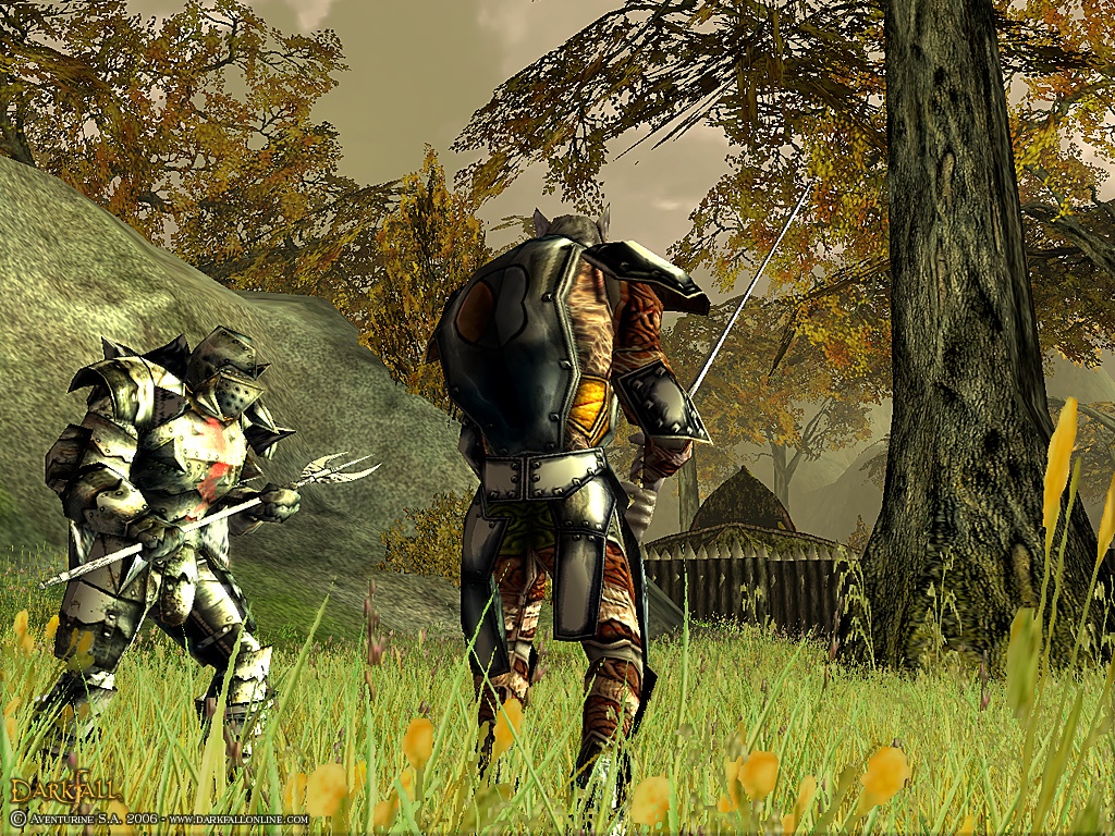 Скриншот из игры Darkfall Online - 60