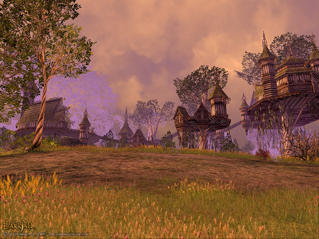 Скриншот из игры Darkfall Online - 35