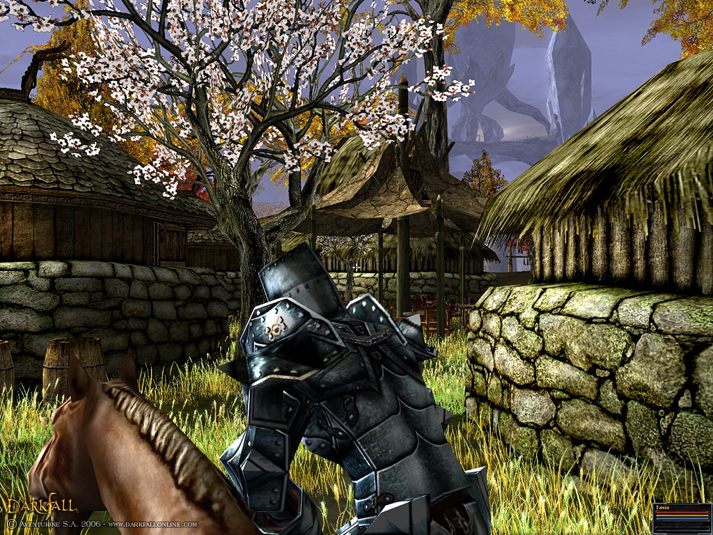 Скриншот из игры Darkfall Online - 50